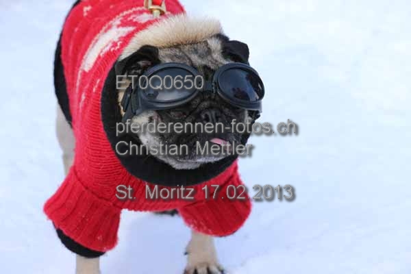 ET0Q0650 prot